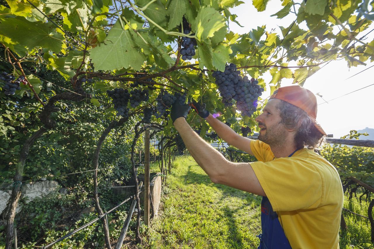 Steinegger Eppan Appiano Sulla Strada Del Vino Exterior foto